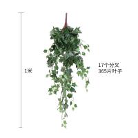 uploads/erp/collection/images/Home Garden/CongDing/XU0610998/img_b/XU0610998_img_b_2